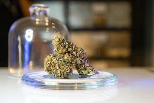 Best Marijuana Dispensaries in Delaware!